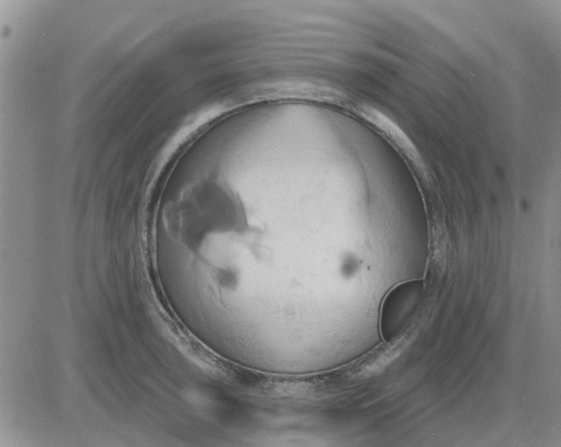 X0000081301043200701251713