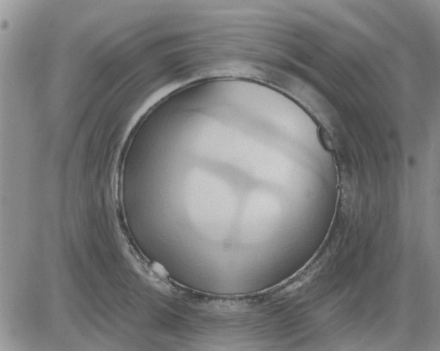 X0000081301044200701251713