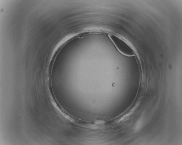 X0000081301045200701251713