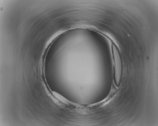 X0000081301046200701251713