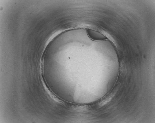 X0000081301047200701251713