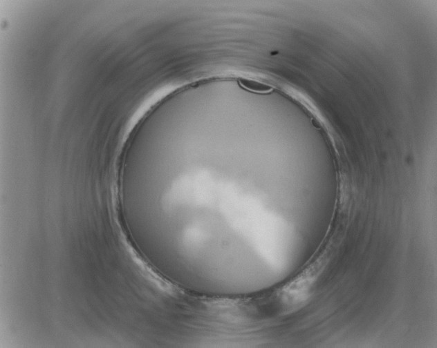 X0000081301048200701251713