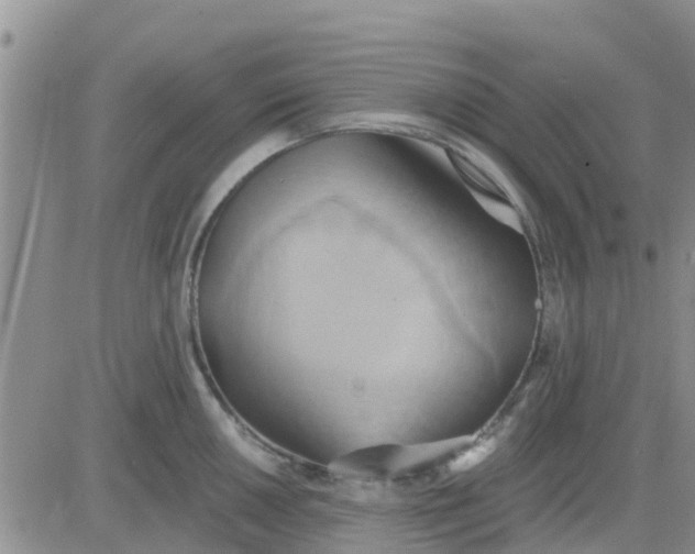 X0000081301050200701251713