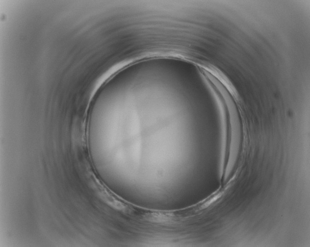 X0000081301052200701251713