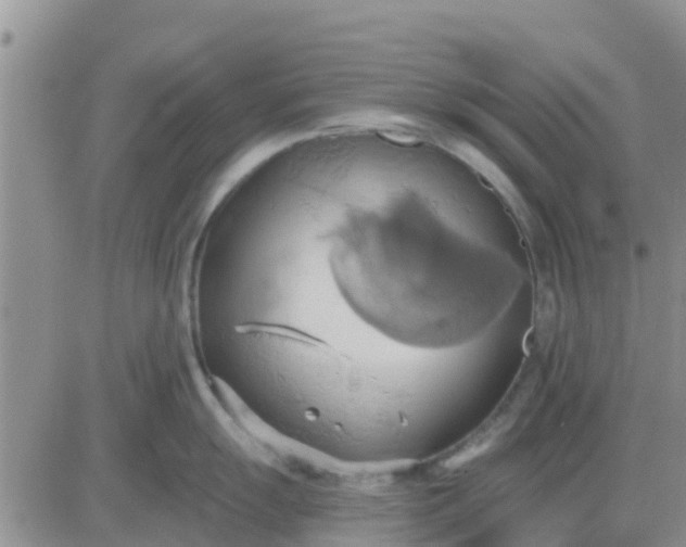 X0000081301055200701251713