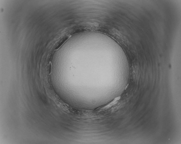 X0000081301057200701251712