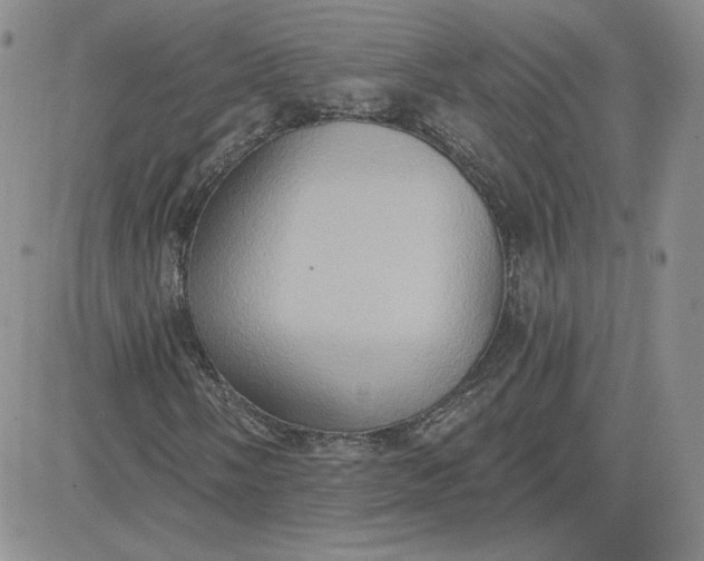 X0000081301058200701251712