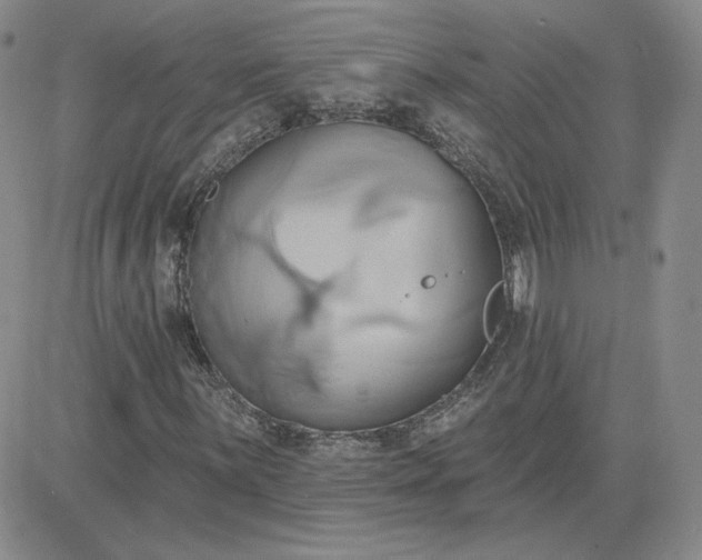 X0000081301059200701251712