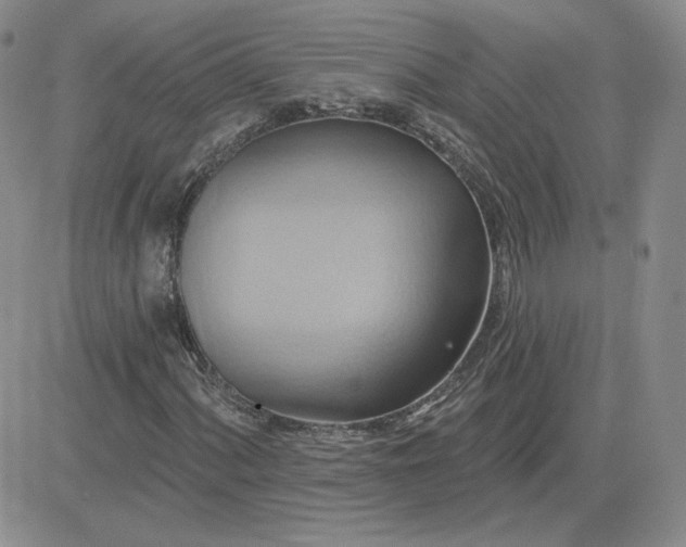 X0000081301060200701251712