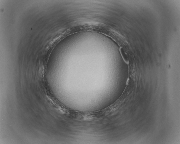 X0000081301061200701251712