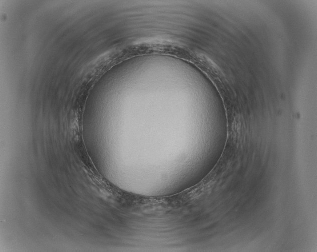 X0000081301062200701251712