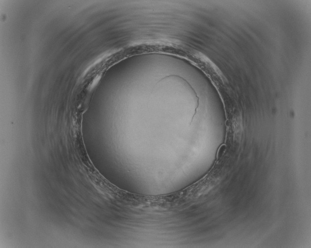 X0000081301064200701251712