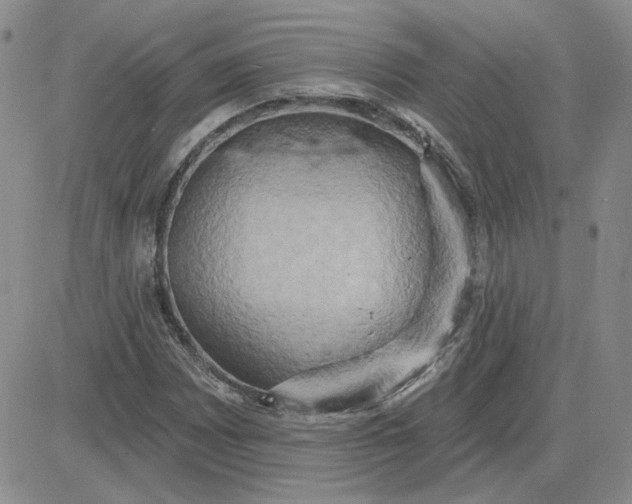 X0000081301065200701251712