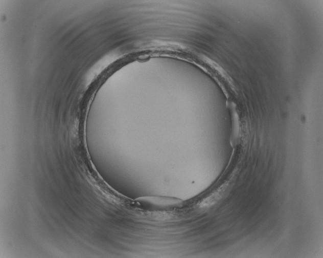 X0000081301066200701251712