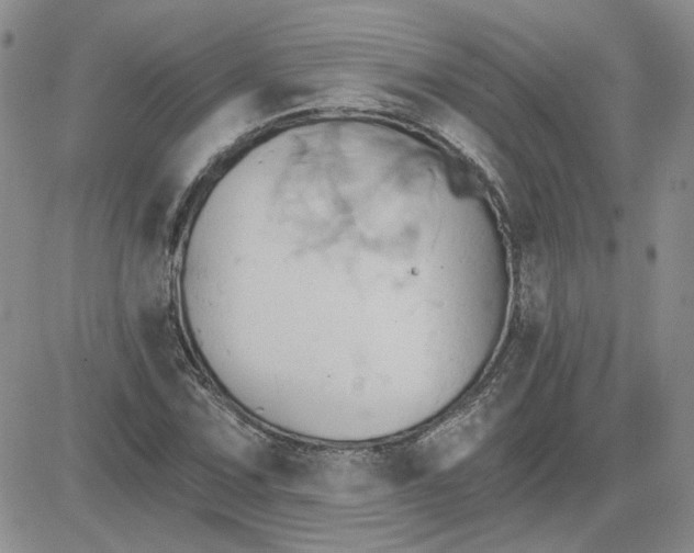 X0000081301067200701251712