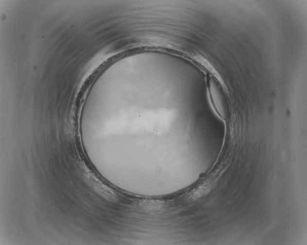 X0000081301068200701251712