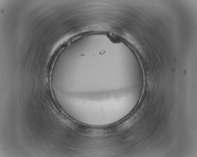 X0000081301070200701251712