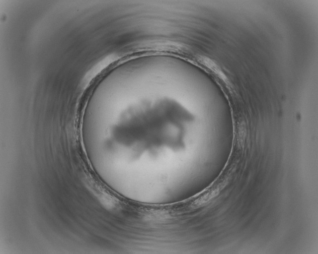 X0000081301071200701251712