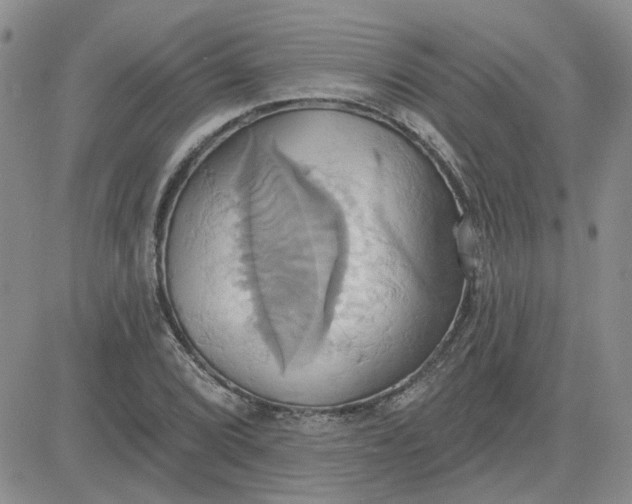 X0000081301072200701251712