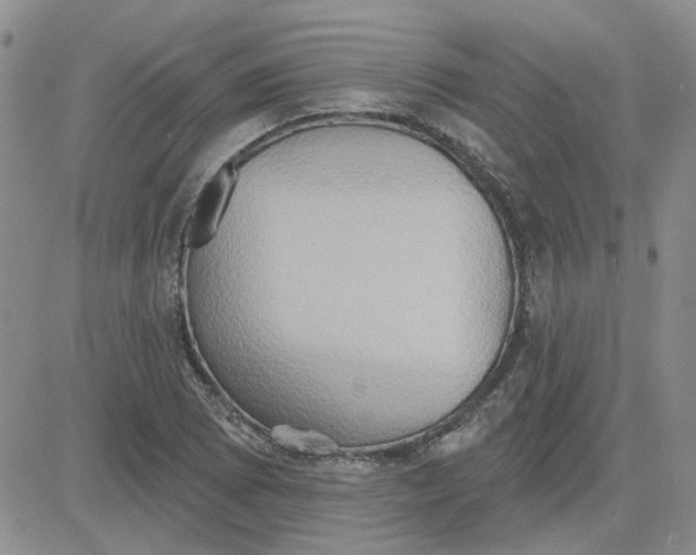 X0000081301073200701251712