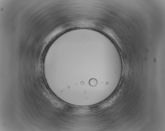 X0000081301074200701251712