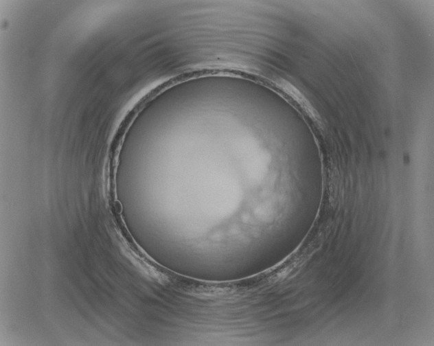 X0000081301076200701251712