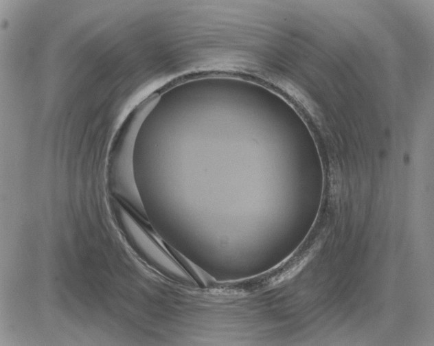 X0000081301077200701251712