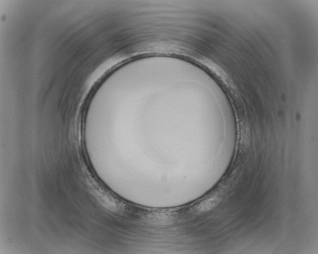 X0000081301078200701251712