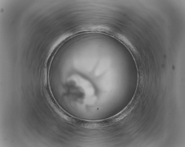 X0000081301079200701251712