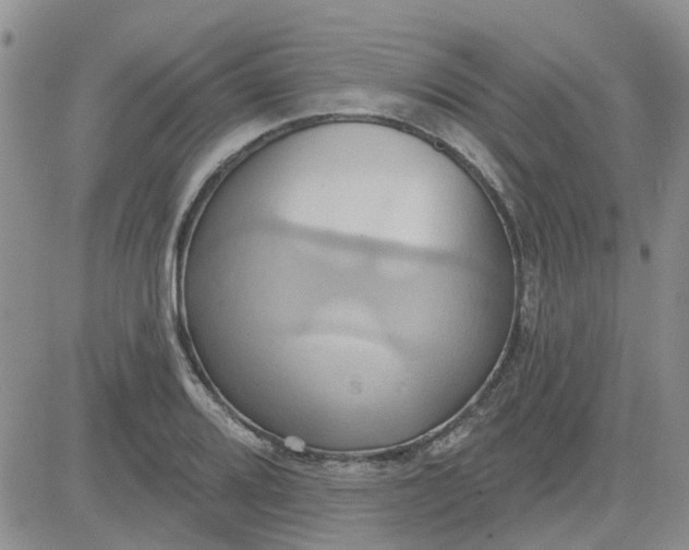 X0000081301080200701251712