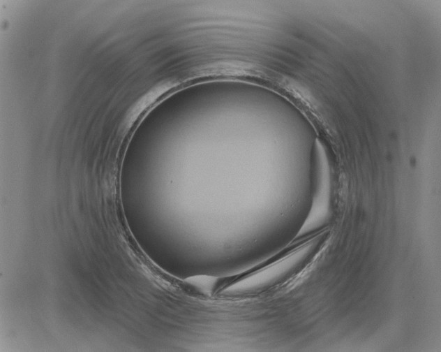 X0000081301081200701251712