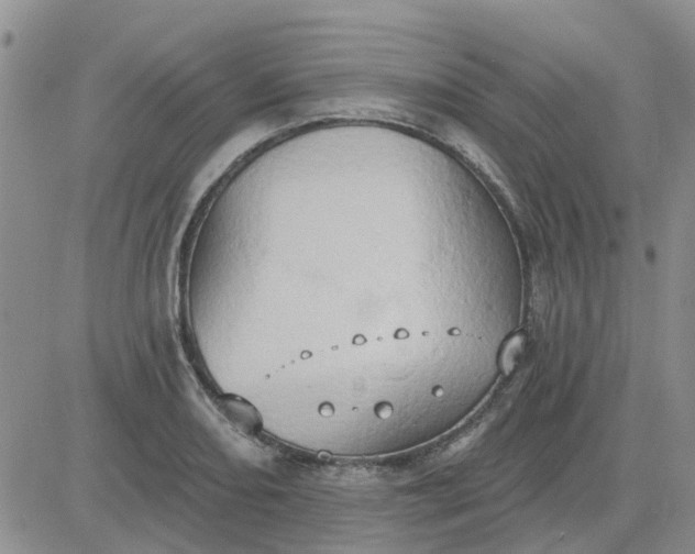 X0000081301082200701251712