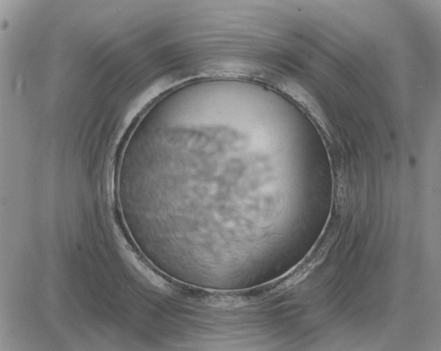 X0000081301083200701251712