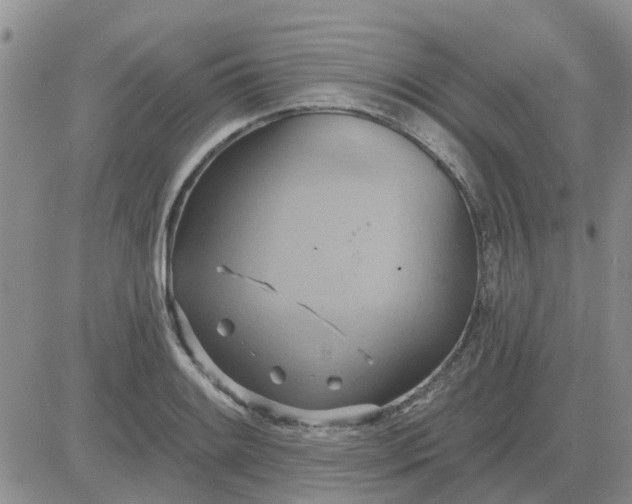 X0000081301084200701251712