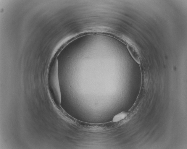 X0000081301085200701251712