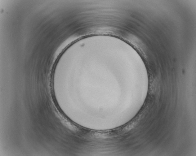 X0000081301086200701251712