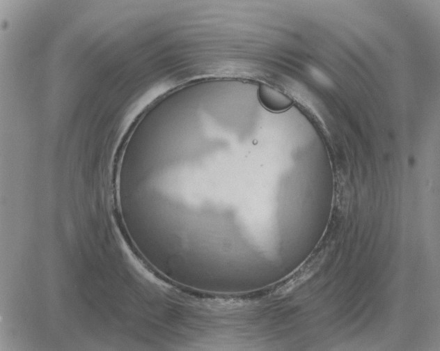 X0000081301087200701251712