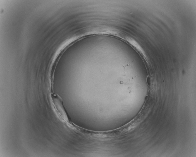 X0000081301088200701251712