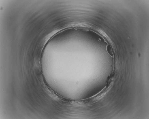 X0000081301089200701251712