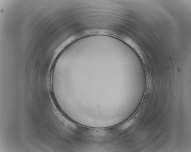 X0000081301090200701251712