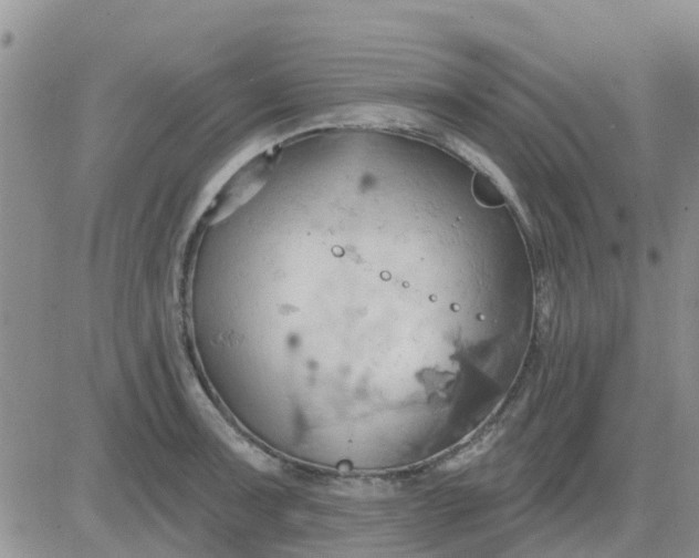 X0000081301091200701251712