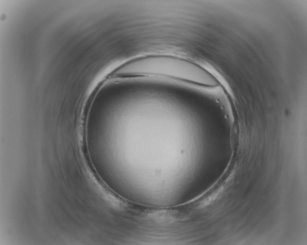 X0000081301093200701251712