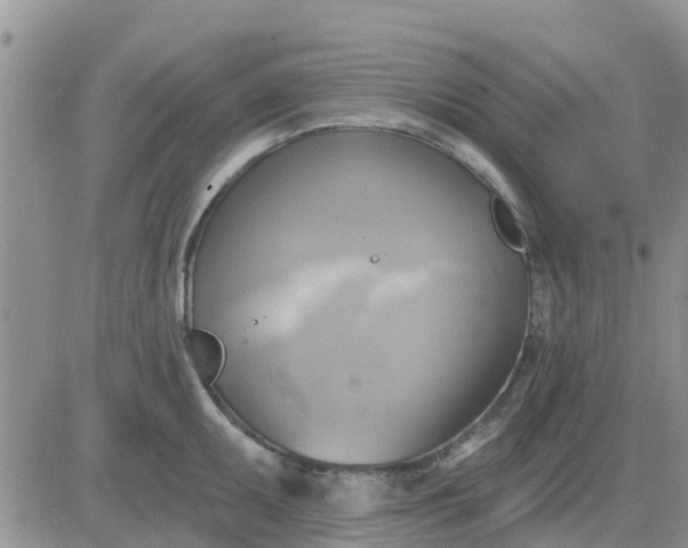 X0000081301095200701251712