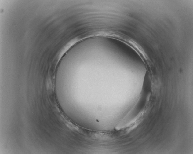 X0000081301097200701251712