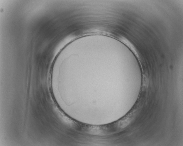 X0000081301098200701251712