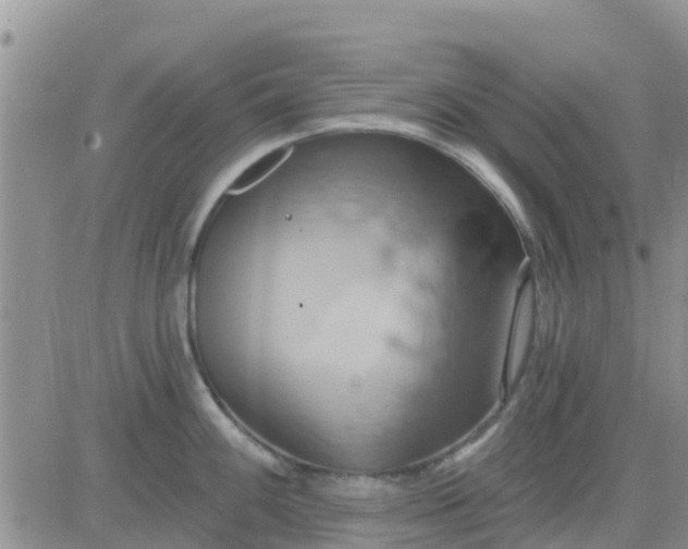 X0000081301100200701251711