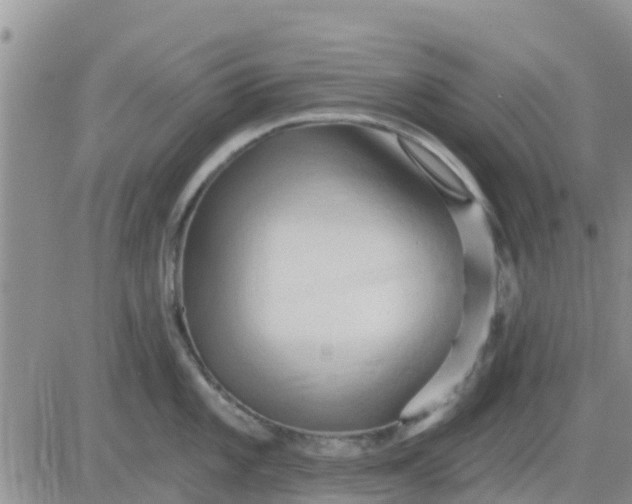 X0000081301101200701251711