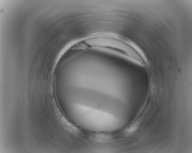 X0000081301102200701251711