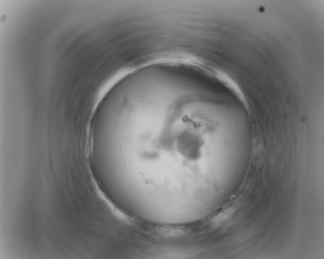 X0000081301103200701251711