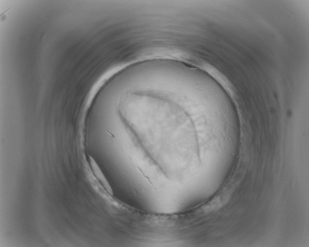 X0000081301104200701251711